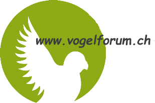 Vogelforum,ch